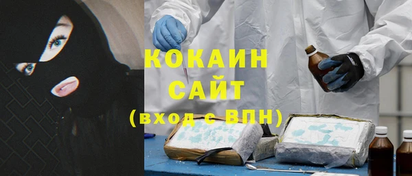 гидра Абаза