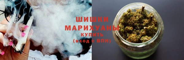 гидра Абаза