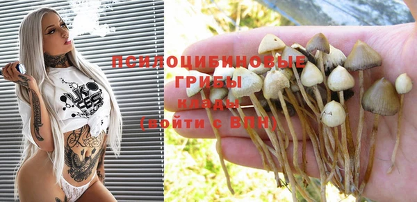 ALPHA PVP Снежинск