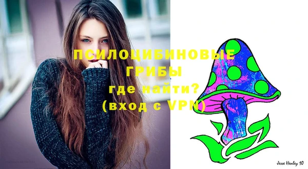 трава Абинск