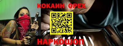 гашик Ливны