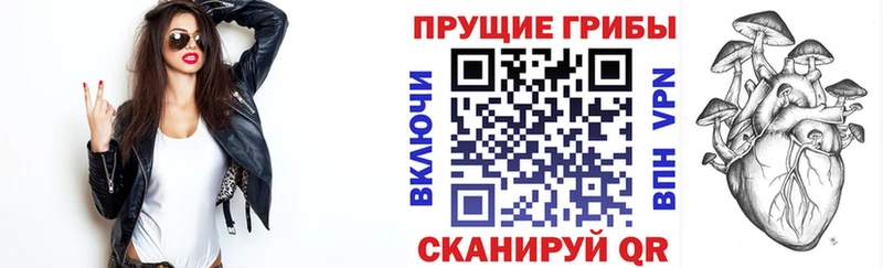 omg tor  нарко площадка телеграм  Галлюциногенные грибы Cubensis  Гагарин 