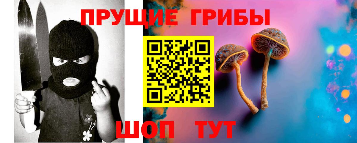 Псилоцибиновые грибы Psilocybe  продажа наркотиков  Гагарин  Вход с VPN 