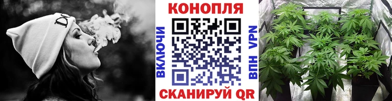 shop телеграм  Гагарин  МАРИХУАНА планчик 